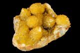 Sunshine Cactus Quartz Crystal Cluster - South Africa #132896-2